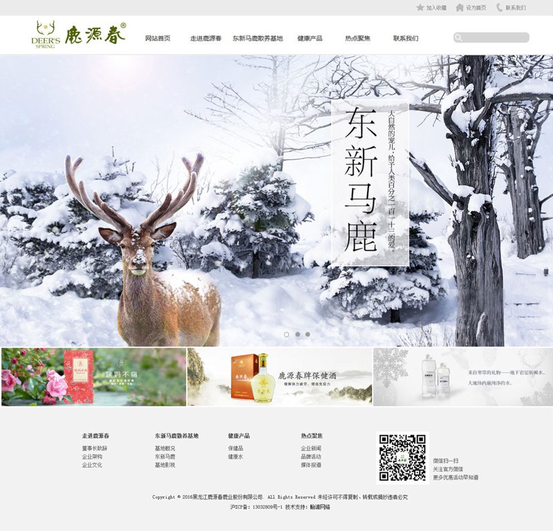 技术支持:一个充满挑战与机遇的职业